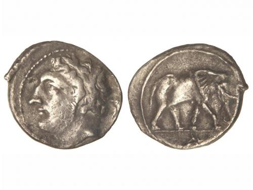 Lot 15