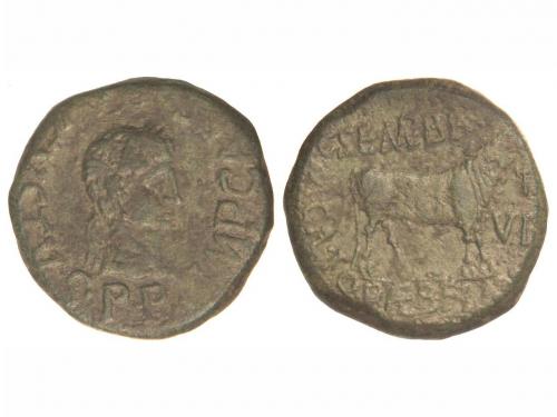 Lote 3144