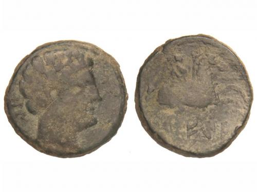 Lot 3456