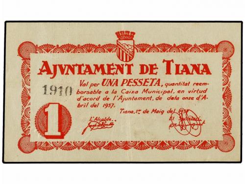 Lote 8126