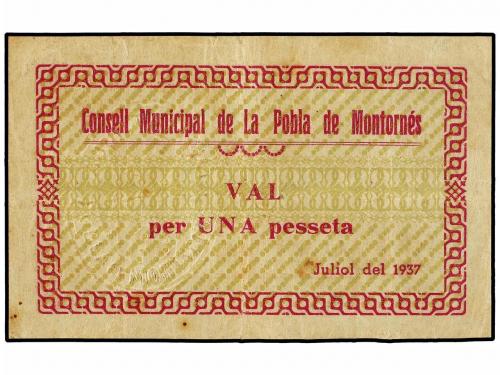 Lote 8084