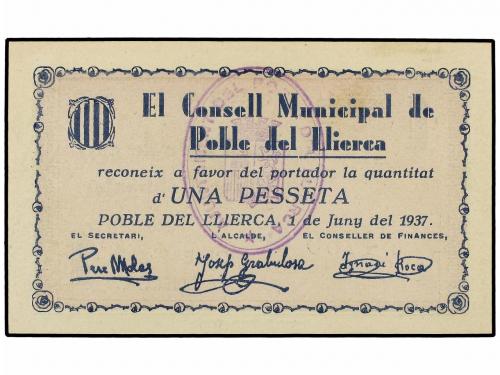 Lote 8088