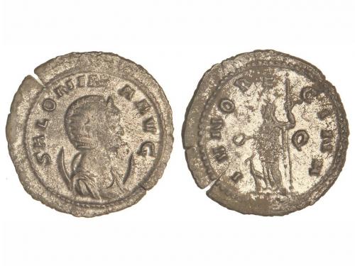 Lot 3786