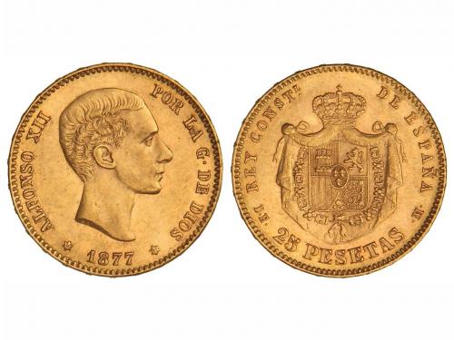 Lote 5215