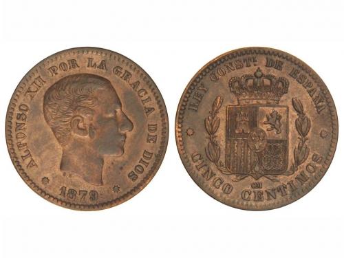 Lote 5129