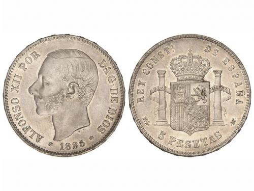 Lote 5205
