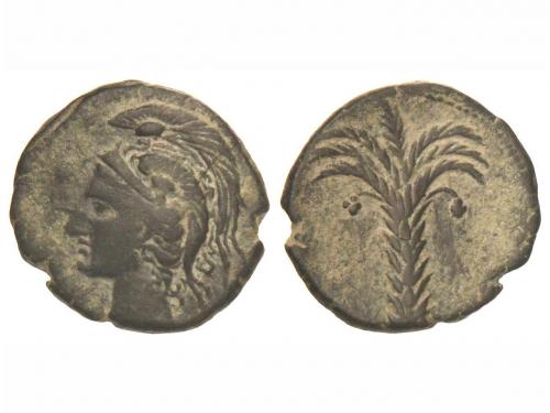 Lot 28