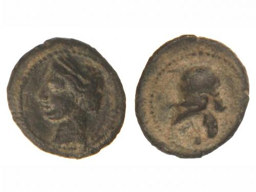 Lot 25