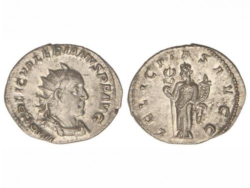 Lot 3782