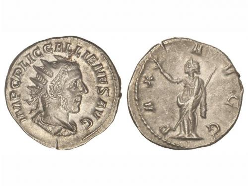 Lot 3789