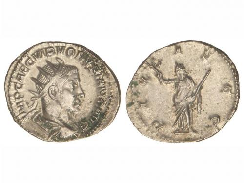 Lot 3781