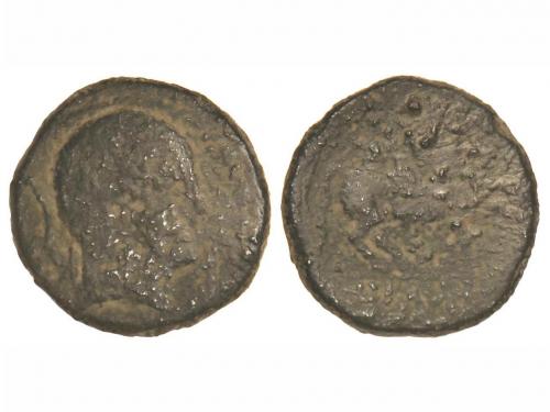 Lot 2255
