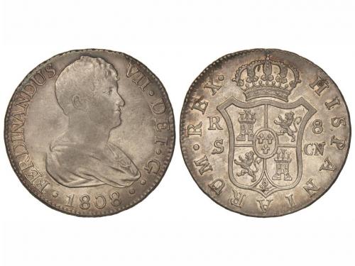 Lote 556