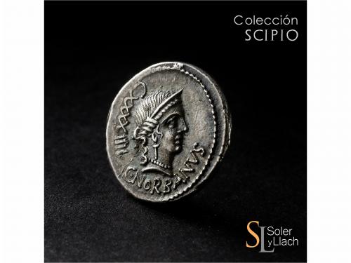 REPÚBLICA ROMANA. Denario. 83 a.C. NORBANA. C. Norbanus. Anv