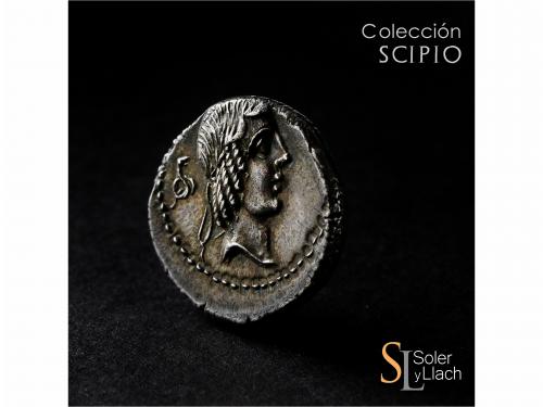 REPÚBLICA ROMANA. Denario. 90-89 a.C. CALPURNIA. L. Calpurni