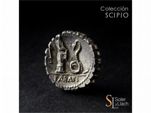 REPÚBLICA ROMANA. Denario. 64 a.C. ROSCIA. L. Roscius. Anv.: