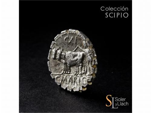 REPÚBLICA ROMANA. Denario. 81 a.C. MARIA. C. Marius C. f. Ca