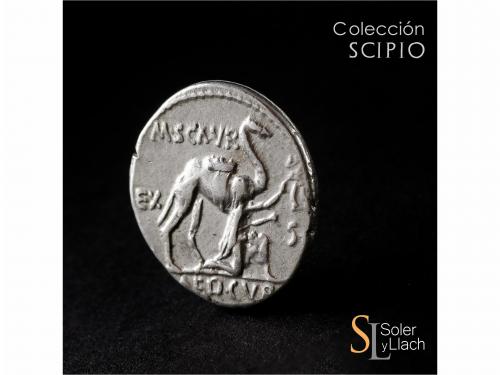REPÚBLICA ROMANA. Denario. 58 a.C. AEMILIA. M. Aemilius Scau