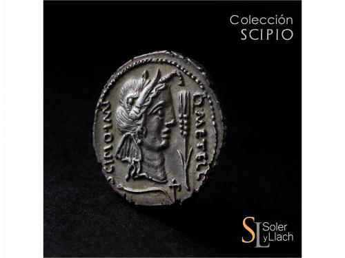 REPÚBLICA ROMANA. Denario. 47-46 a.C. CAECILIA. Q. Caecilius