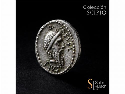 REPÚBLICA ROMANA. Denario. 47-46 a.C. CAECILIA. Q. Caecilius