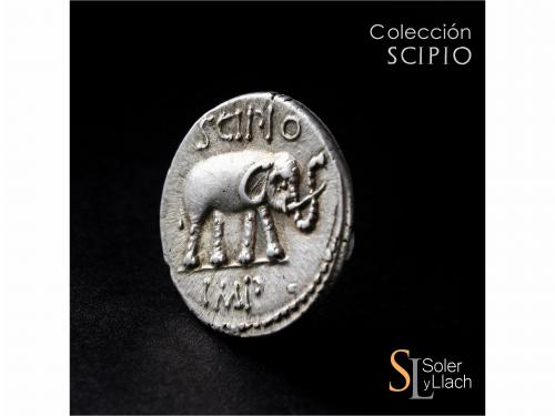 REPÚBLICA ROMANA. Denario. 47-46 a.C. CAECILIA. Q. Caecilius