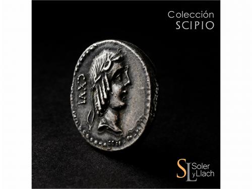 REPÚBLICA ROMANA. Denario. 90-89 a.C. CALPURNIA. L. Calpurni