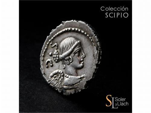 REPÚBLICA ROMANA. Denario. 46 a.C. CARISIA. T. Carisius. Anv