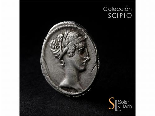 REPÚBLICA ROMANA. Denario. 46 a.C. CARISIA. T. Carisius. Anv