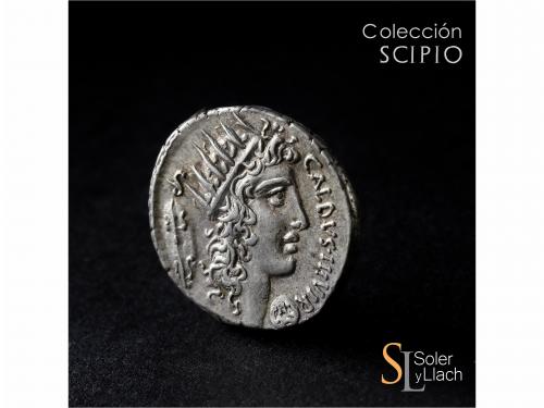 REPÚBLICA ROMANA. Denario. 51 a.C. COELIA o COILIA. C. Coeli
