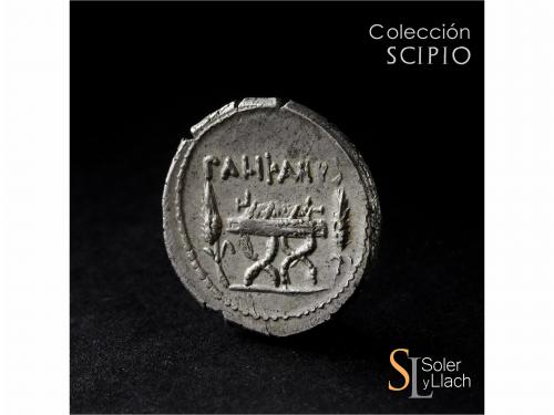 REPÚBLICA ROMANA. Denario. 45 a.C. LOLLIA. Lollius Palikanus