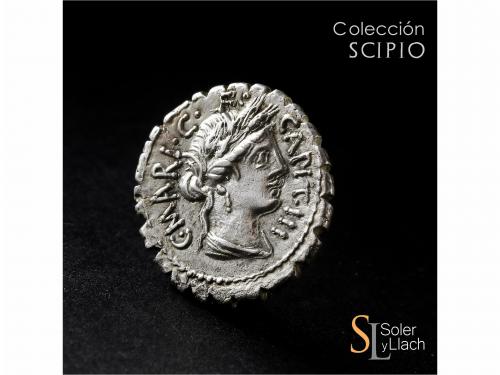 REPÚBLICA ROMANA. Denario. 81 a.C. MARIA. C. Marius C.f. Cap