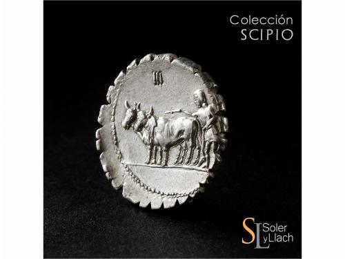 REPÚBLICA ROMANA. Denario. 81 a.C. MARIA. C. Marius C.f. Cap