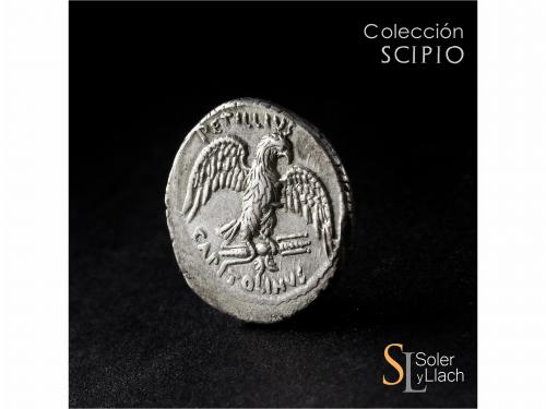 REPÚBLICA ROMANA. Denario. 43 a.C. PETILLIA. Petillus Capito