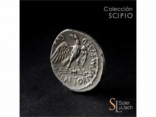 REPÚBLICA ROMANA. Denario. 67 a.C. PLAETORIA. M. Plaetorius 