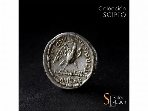 REPÚBLICA ROMANA. Denario. 67 a.C. PLAETORIA. M. Plaetorius 