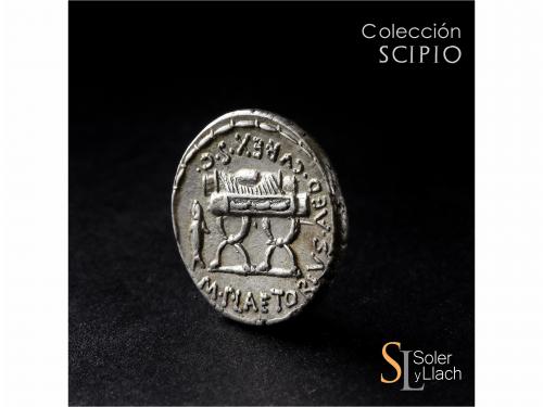 REPÚBLICA ROMANA. Denario. 67 a.C. PLAETORIA. M. Plaetorius 