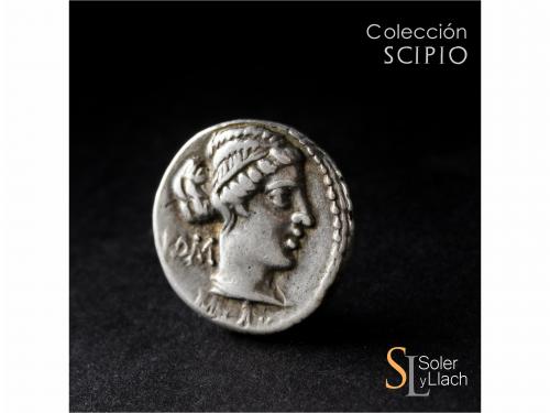 REPÚBLICA ROMANA. Denario. 89 a.C. PORCIA. M. Porcius Cato. 