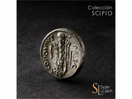 REPÚBLICA ROMANA. Denario. 49 a.C. SICINIA. Q. Sicinius y C.