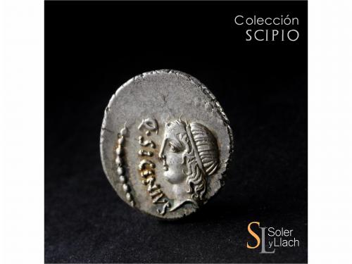 REPÚBLICA ROMANA. Denario. 49 a.C. SICINIA. Q. Sicinius y C.
