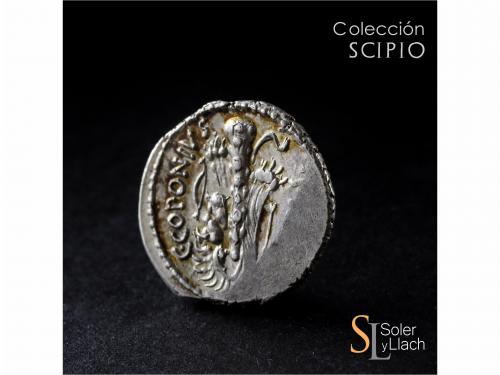 REPÚBLICA ROMANA. Denario. 49 a.C. SICINIA. Q. Sicinius y C.