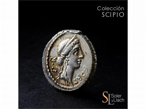 REPÚBLICA ROMANA. Denario. 49 a.C. SICINIA. Q. Sicinius. Anv