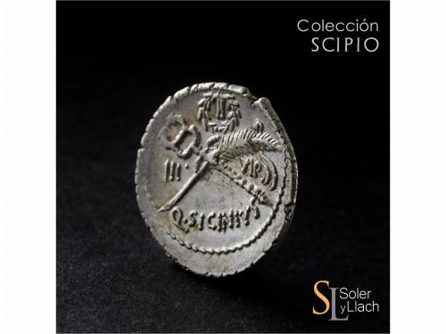 REPÚBLICA ROMANA. Denario. 49 a.C. SICINIA. Q. Sicinius. Anv