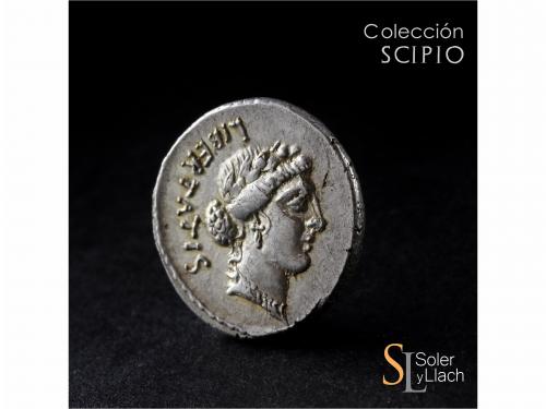 REPÚBLICA ROMANA. Denario. 48 a.C. VIBIA. C. Vibius C.f. C.n