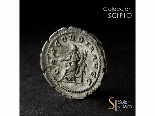 IMPERIO ROMANO. Denario. Acuñada el 238 d.C. PUPIENO. Anv.: 