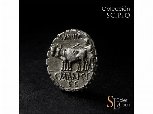 REPÚBLICA ROMANA. Denario. 81 a.C. MARIA. C. Marius C. F. Ca