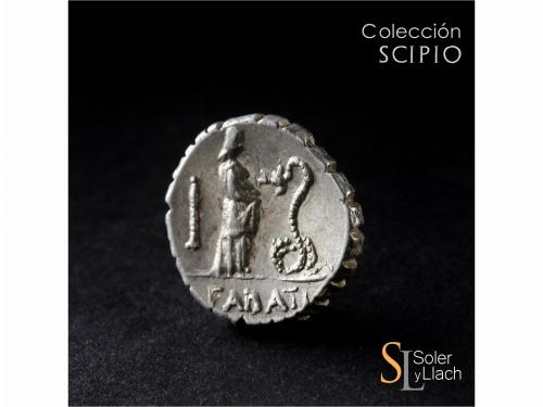 REPÚBLICA ROMANA. Denario. 64 a.C. ROSCIA. L. Roscius. ITALI