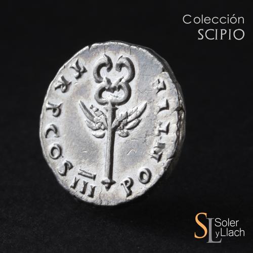 IMPERIO ROMANO. Denario. Acuñada el 74-79 d.C. TITO. T. CAE