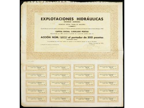 DOCUMENTOS y VARIOS. Lote 9 acciones distintas de Mallorca. 