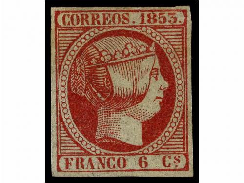 Lote 81