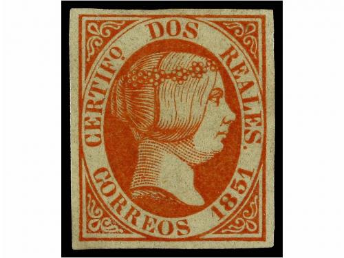 Lote 8